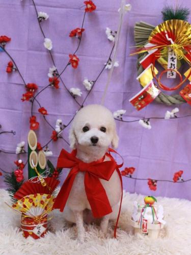 20230108ふぁるくん